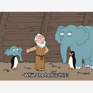 Family Guy   What The Hell Is This   2 Animals